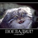 ���� ����@, ��������, 62 ���� - ��������� 4 ��� 2010 � ������ �������-��� ������� ����