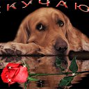 ���� ������, ��������������, 49 ��� - ��������� 13 ������� 2010 � ������ �������