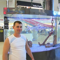 ���������, ���������, 50 ���