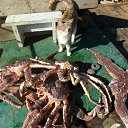 ���� ���������, �����������, 67 ��� - ��������� 25 ����� 2012