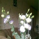 ���� ����, ��������, 49 ��� - ��������� 4 ���� 2011 � ������ �RoadKing�