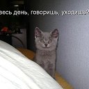 ���� �������, ���������, 32 ���� - ��������� 24 ������� 2012 � ������ ������ ��������