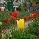 ���� �@�@�@, ������, 49 ��� - ��������� 9 ��� 2010 � ������ ������� ����� � ��.�