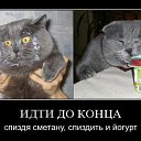 ���� ����, �����, 43 ���� - ��������� 4 ������ 2010