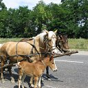 ���� �������, ��������������, 45 ��� - ��������� 19 ���� 2011