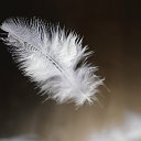 ���� �����, ������������, 61 ��� - ��������� 23 ����� 2012