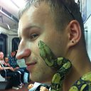 ���� �������, �����-���������, 40 ��� - ��������� 23 ������ 2013