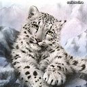 ���� ��������, ����-���, 42 ���� - ��������� 27 ������� 2013 � ������ ���� ����������