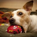 ���� Leonid, �����-���������, 39 ��� - ��������� 22 ����� 2012 � ������ ������