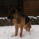  ,  -  18  2012      Ȼ