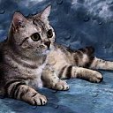 ���� Olik, �����, 42 ���� - ��������� 12 ������ 2010 � ������ �������