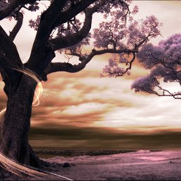 ���� Jamolbi, �������, 29 ��� - ��������� 14 ���� 2012