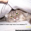 ���� ��������, �������� - ��������� 11 ����� 2012 � ������ �������� ��������