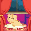 ���� �����, ����������, 27 ��� - ��������� 28 ����� 2010 � ������ ���� ����������