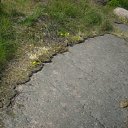 ���� ���, �����-���������, 35 ��� - ��������� 9 �������� 2011 � ������ �������