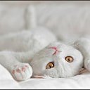  , -, 39  -  25  2010    