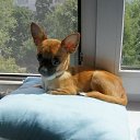 ���� Ju, ������, 27 ��� - ��������� 24 ������� 2011