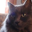 ���� �� ������� ���