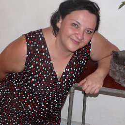 �������, ������ ��������, 53 ����