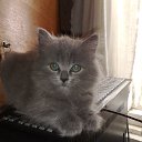 ������� �� ������� ����� ��� ������������
