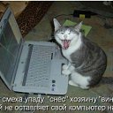   ( -        ,  -  27  2010      