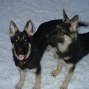 ���� ������, ���, 57 ��� - ��������� 11 ������ 2012 � ������ �� � �����