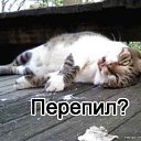���� ���������, ���������, 47 ��� - ��������� 29 ���� 2010 � ������ �������