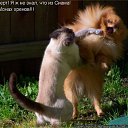 ���� Gnom, ���������, 39 ��� - ��������� 28 ������ 2010 � ������ �������� � ��������� ;-)�