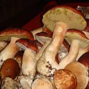 ���� ������, ���������, 62 ���� - ��������� 17 ��� 2011 � ������ �������