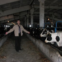 ���� �����, ������ - ��������� 12 ��� 2011