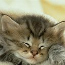 ���� ����, ������, 30 ��� - ��������� 28 ������� 2010 � ������ ������� ����������