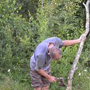 ���� �����, �������� - ��������� 15 ������ 2012 � ������ ���� ����������