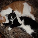 ���� ������, ������������, 47 ��� - ��������� 5 ������ 2013