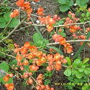 ���� �@�@�@, ������, 49 ��� - ��������� 9 ��� 2010 � ������ ������� ����� � ��.�