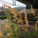  , , 41  -  13  2010   ~  ~