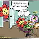���� ��, ������������, 39 ��� - ��������� 7 ������ 2011 � ������ ����������