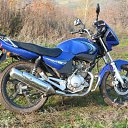 ���� �������, ������, 42 ���� - ��������� 6 ������ 2012