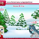  ,  -  17  2011   PetLove