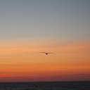 ���� �����, ������, 44 ���� - ��������� 27 ���� 2012 � ������ �������