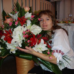 ���� ����, ������, 44 ���� - ��������� 23 ����� 2011