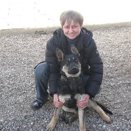 ������, �����������, 52 ����