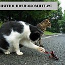 ���� ������, �������, 40 ��� - ��������� 13 ������� 2009 � ������ ����������� ��������, ������� ����������
