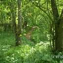  , , 41  -  15  2010   ~   @ ~