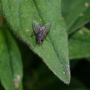 ���� ���������, ���������, 51 ��� - ��������� 21 ���� 2010 � ������ �������������