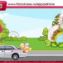 ���� ����, �������, 40 ��� - ��������� 8 ������� 2010 � ������ �PetLove�