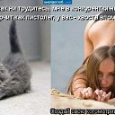 ���� �����, ������������ - ��������� 17 ���� 2010 � ������ ��������
