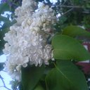 ���� ����, ���� - ��������� 26 ������� 2010