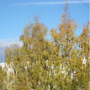 ���� �����, ����� - ��������� 25 ��� 2011 � ������ ����� �� ���� �����