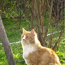  Slava, , 56  -  21  2012