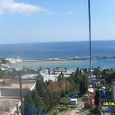  ,  -  8  2012    2012